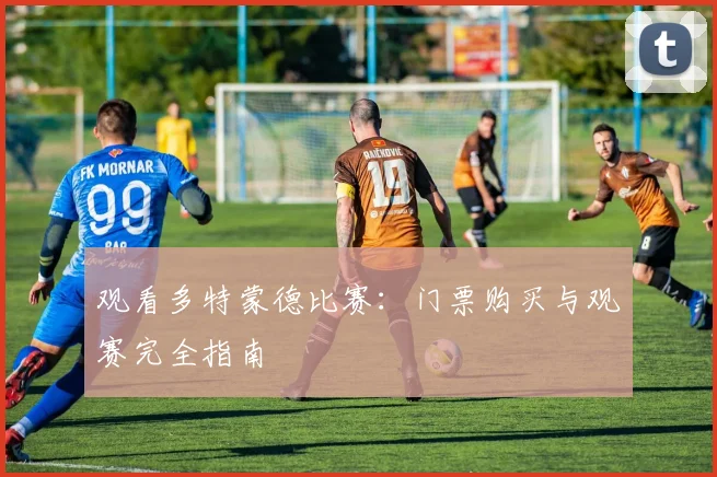 观看多特蒙德比赛：门票购买与观赛完全指南