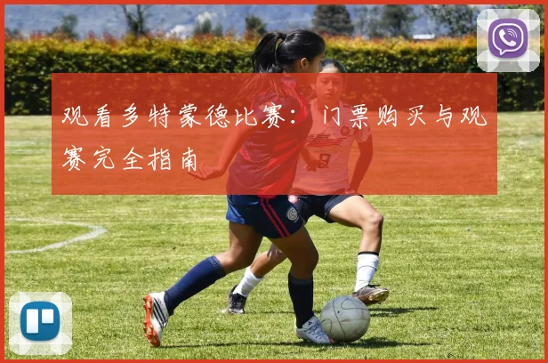 观看多特蒙德比赛:门票购买与观赛完全指南