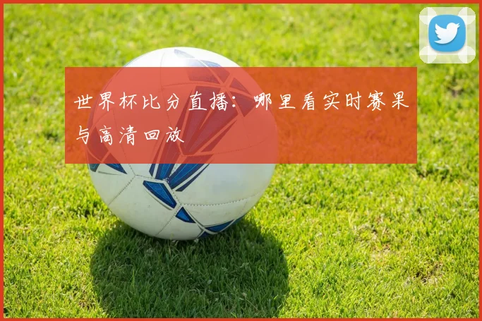 世界杯比分直播:哪里看实时赛果与高清回放